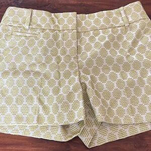 Dressy Loft Shorts: NEW!